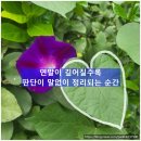 유원부동산중개사무소 이미지
