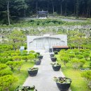 인목이네목장 | 무량수목장 수목장가격과 선택 가이드 품격 있는 자연장 준비하기