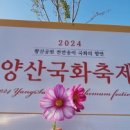 임시주차장(족구장) 이미지