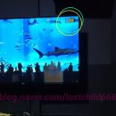 와드코인 노래연습장 이미지