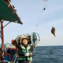 코레일낙산연수원 야영장 이미지