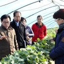 박해숙농장 이미지