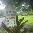 주목나무집