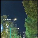 관호 광화문점 이미지