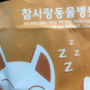 흥해동물병원