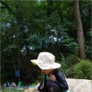 수원-1241 이미지