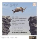 알렉산더테크닉자세;움직임교육센터