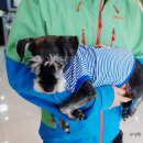 위니펫동물병원 이미지