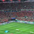 국가대표 | 대한민국 축구 국가대표 A매치 직관후기