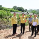 대신지구진입로 이미지