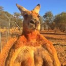 바른자세교정 이미지