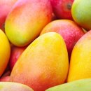 (주)달콤
