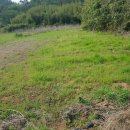 과역면사무소 이미지