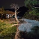 배꽃가든 이미지