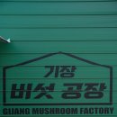 정관농장 | 부산 기장아이랑 가볼만한곳 정관&amp;기장체험학습 버섯공장 세세한 정보 및 다녀온 후기정리.