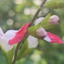 통영바다펜션 이미지