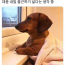 난다방 이미지