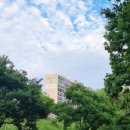 산호아파트 놀이터 이미지