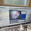 테크노웰 동물병원 이미지