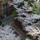 동욱목장 이미지