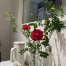 동연사 | 홍대연어맛집 미쁘동연남본점 내돈내산 솔직후기