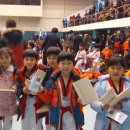 용인대 멘토 태권도장 이미지