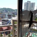 미정이집 이미지