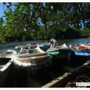 자원부화장 이미지