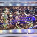 육회총각 이미지