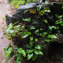 우유부단 결정 장애..No.12(배경음 있음) 이미지