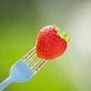 딸기모텔 이미지