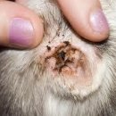 현대종합동물병원 이미지