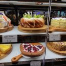 바다샌드 이미지