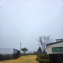 토리아이풀빌라키즈 | 제주 키즈 풀빌라 찐 만족 숙소! 아이올레키즈풀빌라 올레동 후기