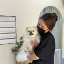 멍뜰리에 이미지