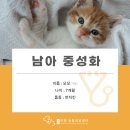 이담동물병원 이미지