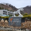 가온조구 | 파주 노캐디2인 가능 타이거cc 타이거컨트리클럽 라운드 후기