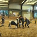 더케어팜 이미지