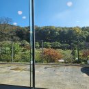 산수애 | 분당 율동 공원 한정식 맛집 산수애 후기