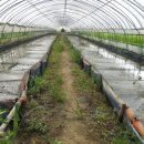 황토농장 이미지