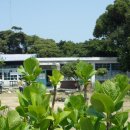 경산농협남부지점 이미지