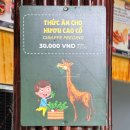 한국쿄와기린(주) | 푸꾸옥 빈펄 사파리 VIP 투어 가격 예약 오픈런 기린 먹이주기 체험