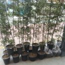 서울축산업협동조합 사료사업본부 이미지