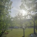 빨래터캠핑장 이미지