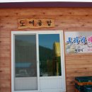 숲이조아캠핑장 이미지