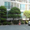 완월동289 이미지