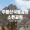소헌공원 | 청송 가볼 만한 곳, 주왕산국립공원 &amp; 소헌공원에서 힐링하고 왔어요