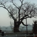 이조1리 이미지