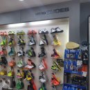 비트로  고창대리점 이미지