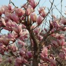 하얀쉼터 이미지